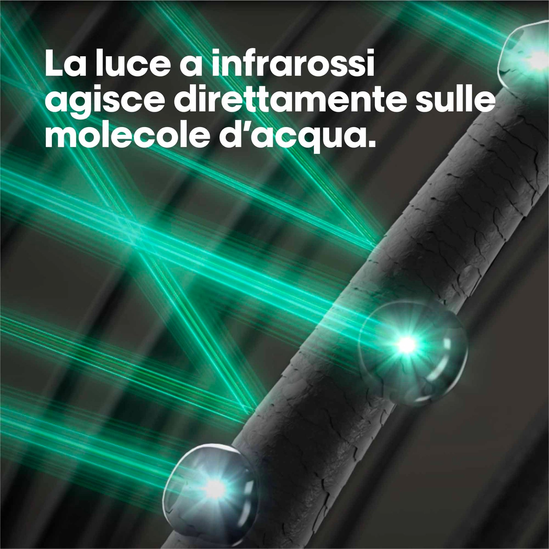 Slide4